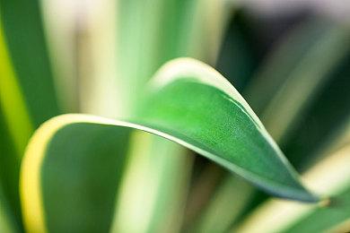 《NBA 2K25》暗示塔图姆或将成为新一代封面球星